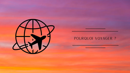 Pourquoi voyager ?